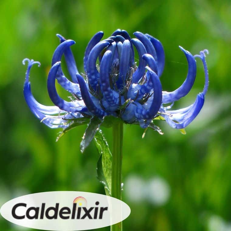 dolori muscolari crema