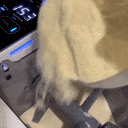 pasta-maker-500-1-min.gif