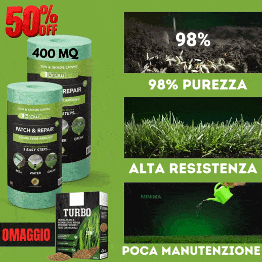 VERDE PRATO (4)-min
